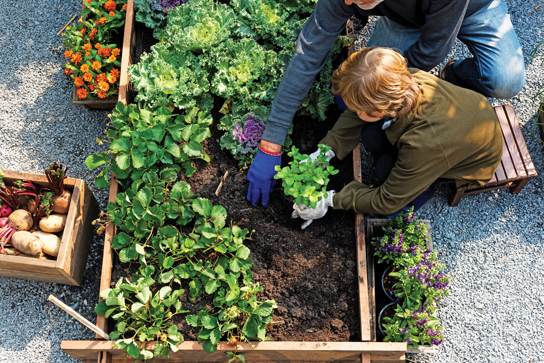 Gardening Tools